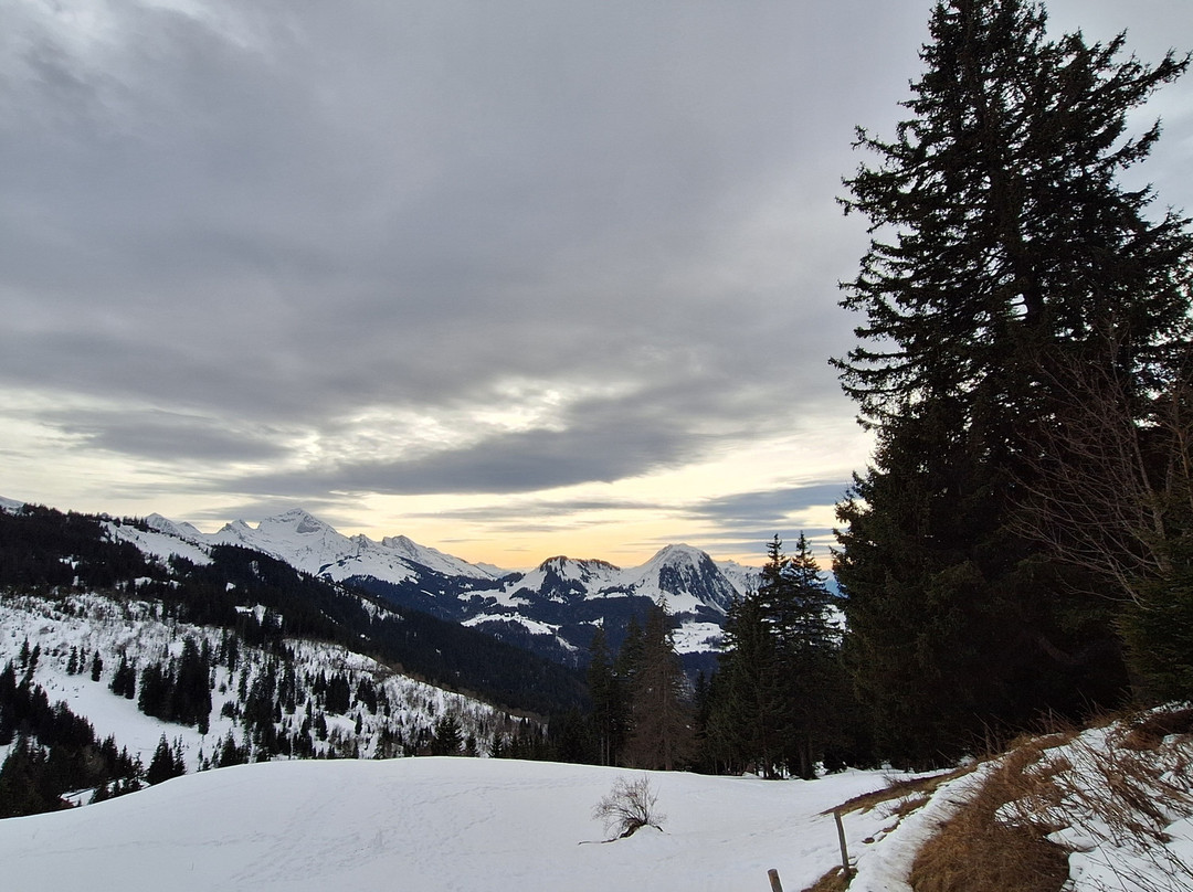 Col de la Croix Fry-Manigod必去景点