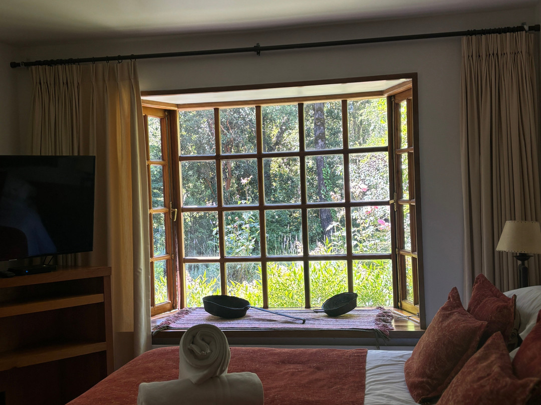 Hotel Posada del Rio - Parque Metrenehue主图