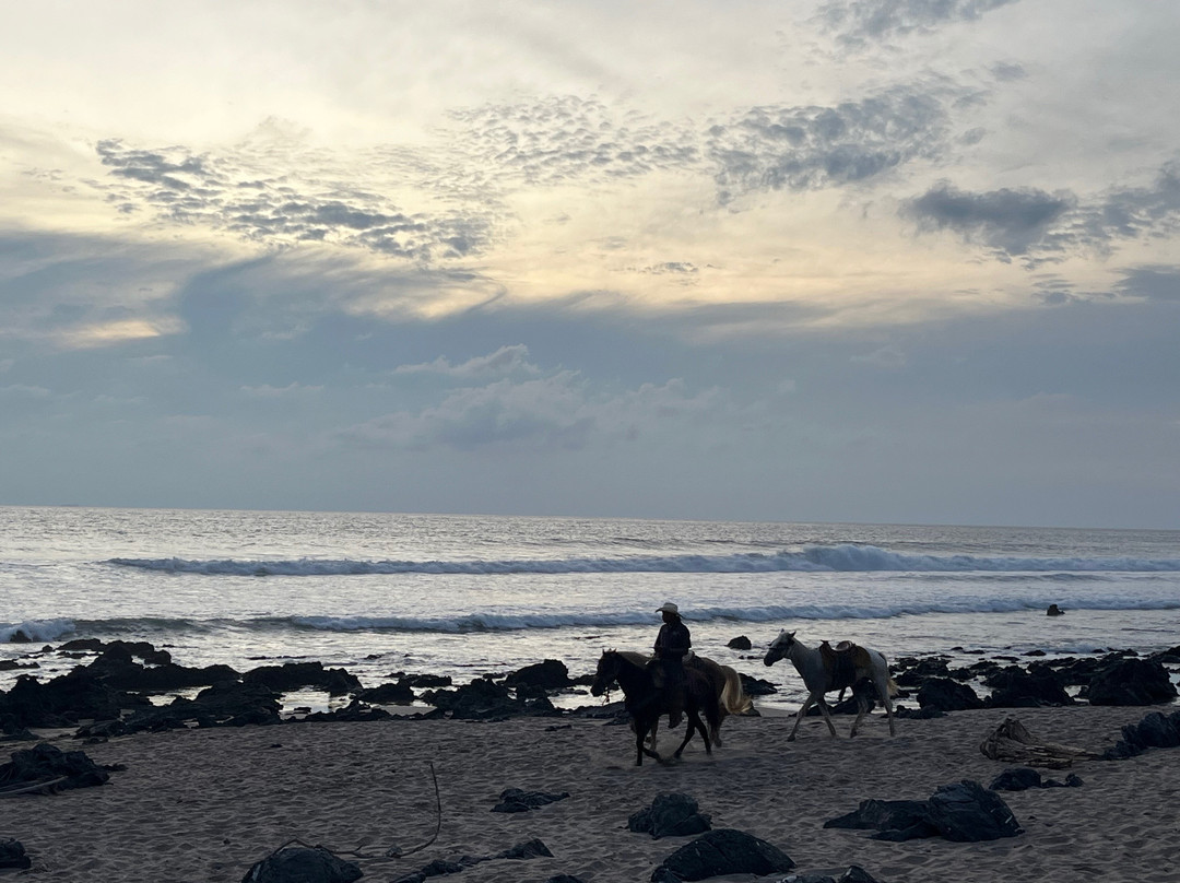 Tres Mujeres Boutique Hotel & Yoga Retreat主图