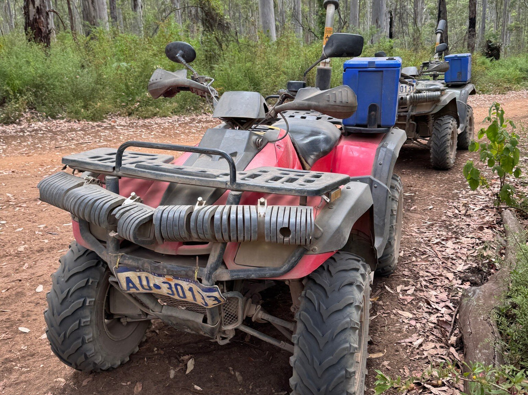 Ecoadventures Margaret River-Boranup必去景点