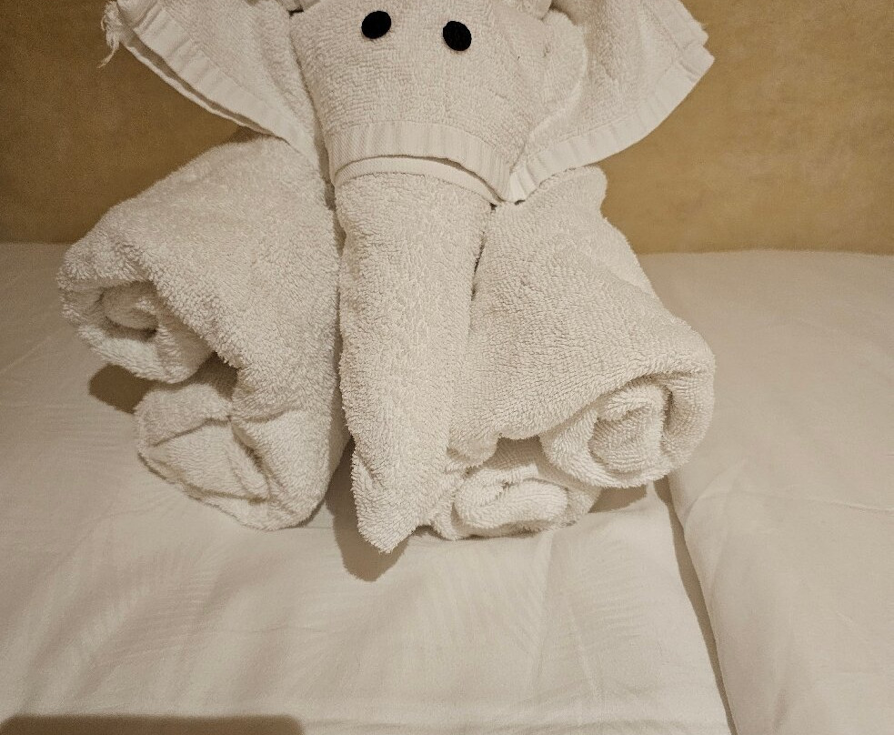 Adventura Cayman-Camana Bay必去景点