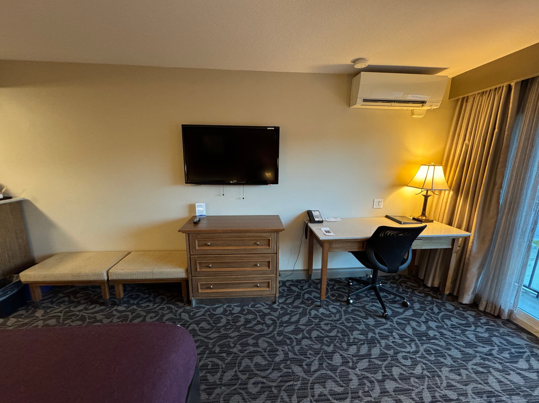 The Royal Anne Hotel主图