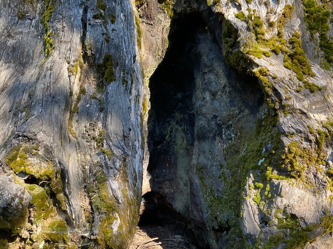 内尔德格罗夫-马德拉必去景点