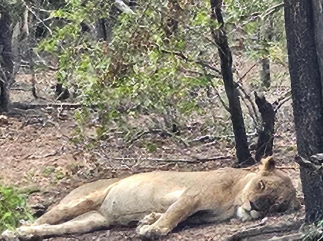 Marloth Park Adventures-玛洛斯帕克必去景点