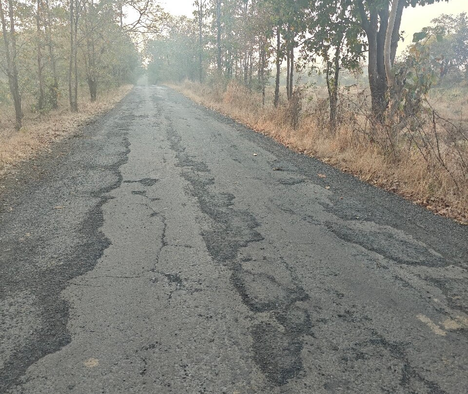 Dirghayu Farms Agri Resort Pvt. Ltd.主图