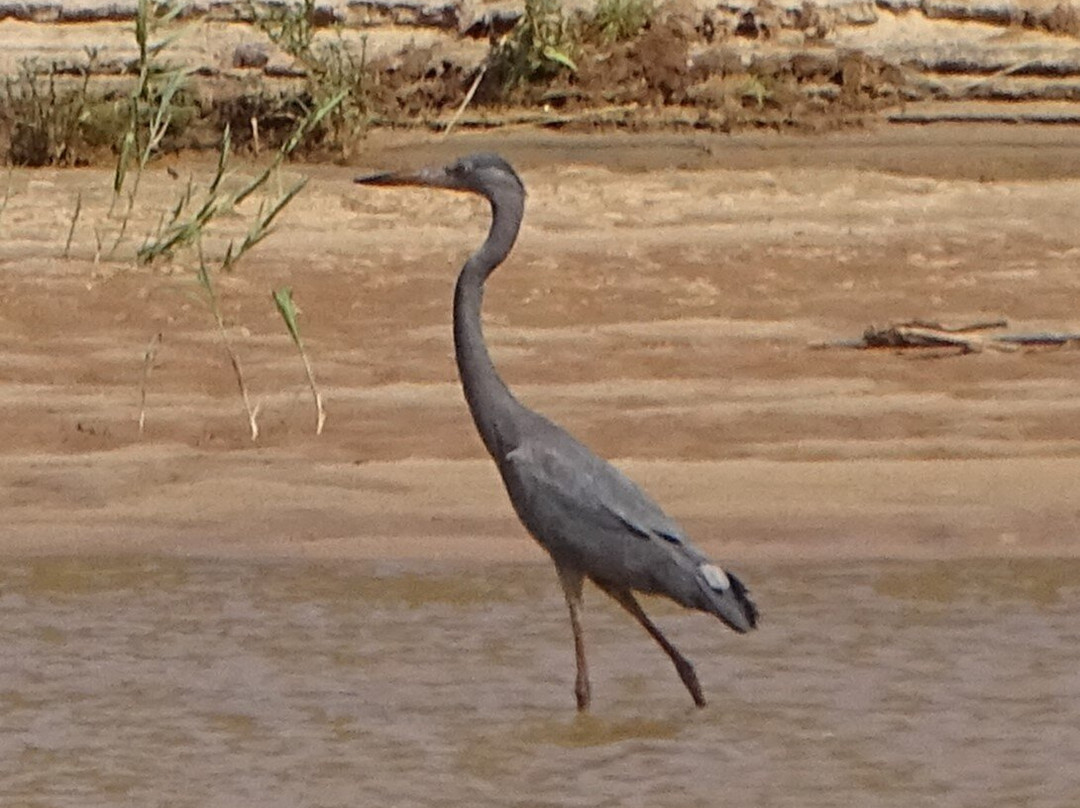 Tsiribihina River景点图片