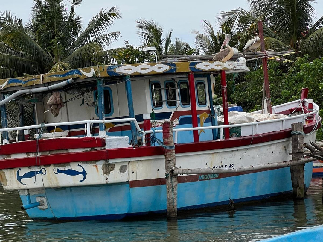 Liam Boat Safari景点图片