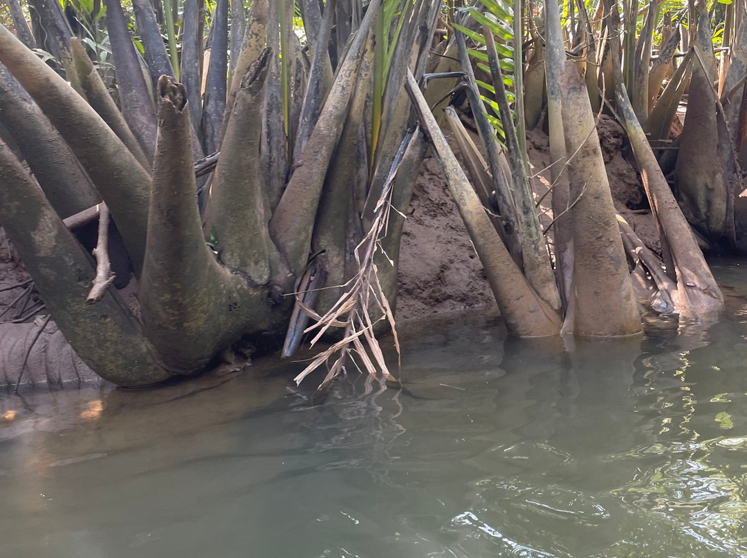 Holiday Service Khao Lak-泰曼必去景点