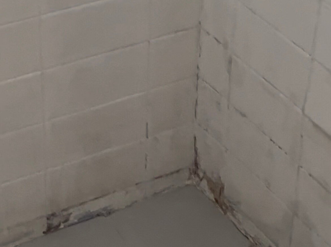 蛙拉格景观汽车旅馆主图