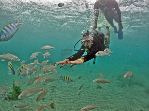 Natal Vip Turismo-Natal必去景点