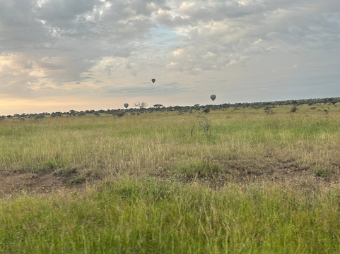 Glitzy Safaris-阿鲁沙必去景点