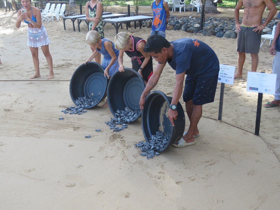 Duli Beach Resort主图