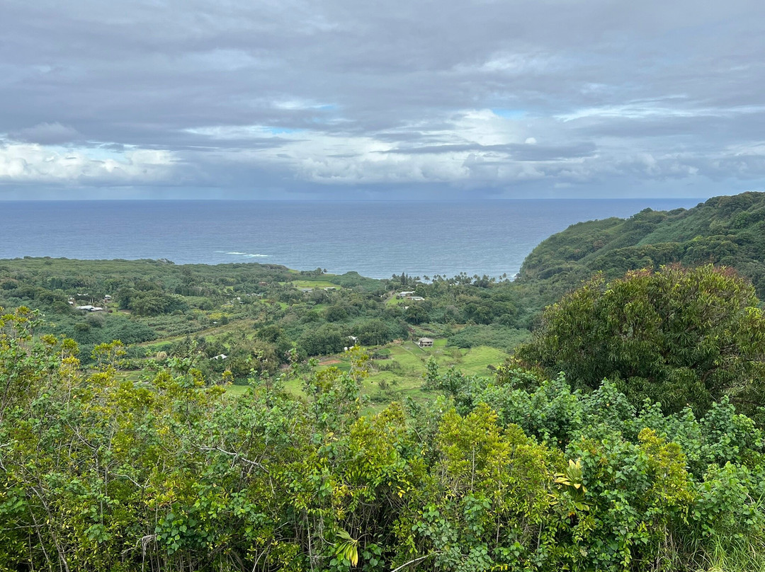 Wailua Valley State Wayside Park-库拉必去景点