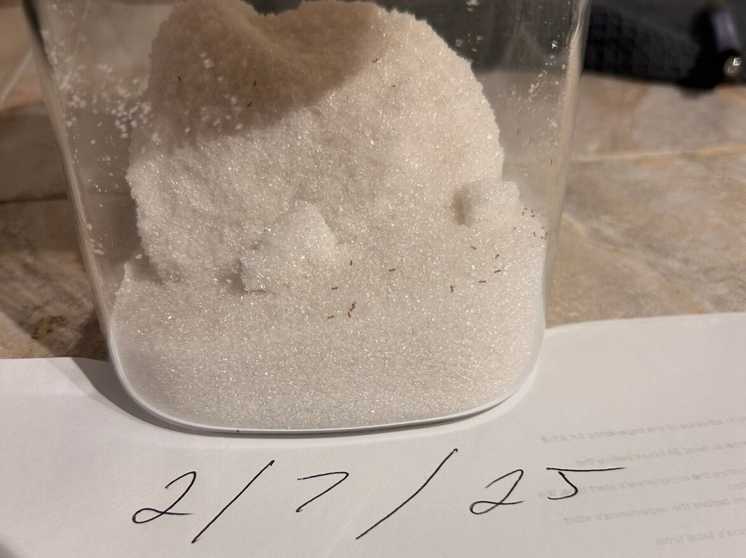 Surfers Bay Resort Hotel主图