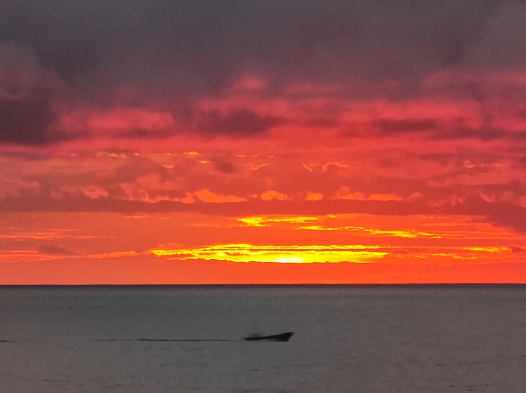 Hotel Ola Bella主图