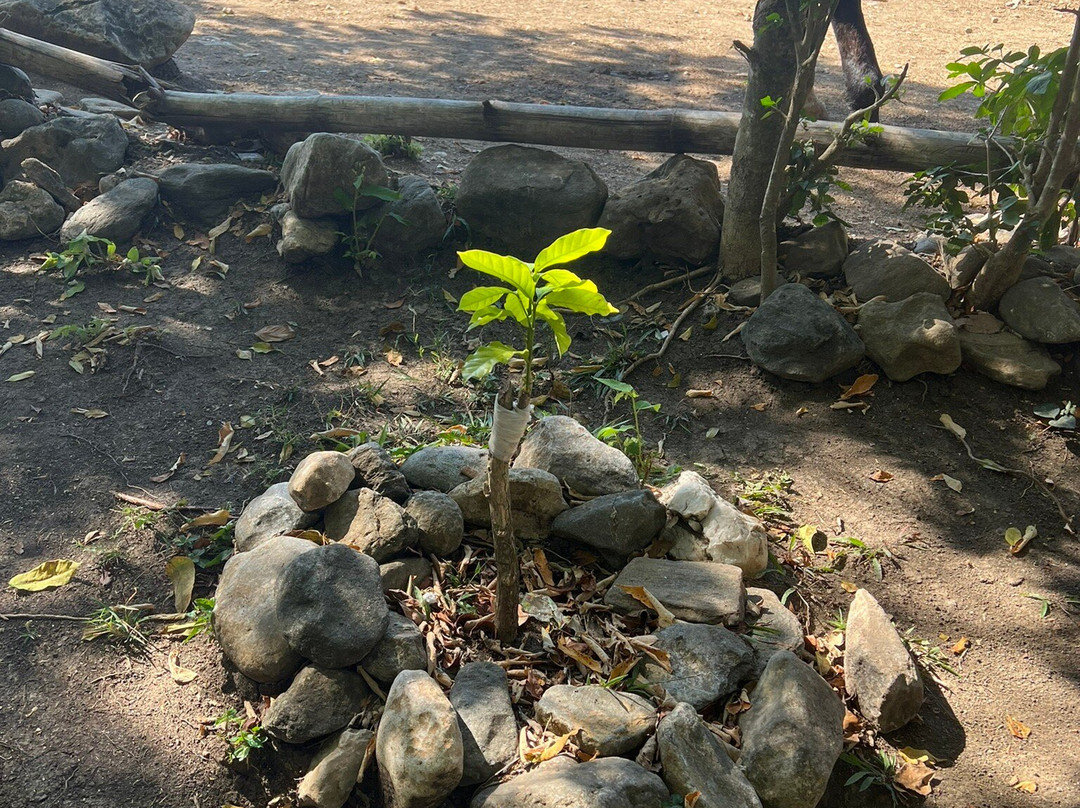 Horseback Riding Tours-特立尼达必去景点
