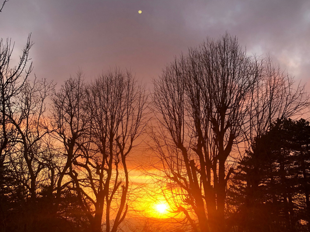 National Park Of Qafeshtame-Fushe Kruje必去景点