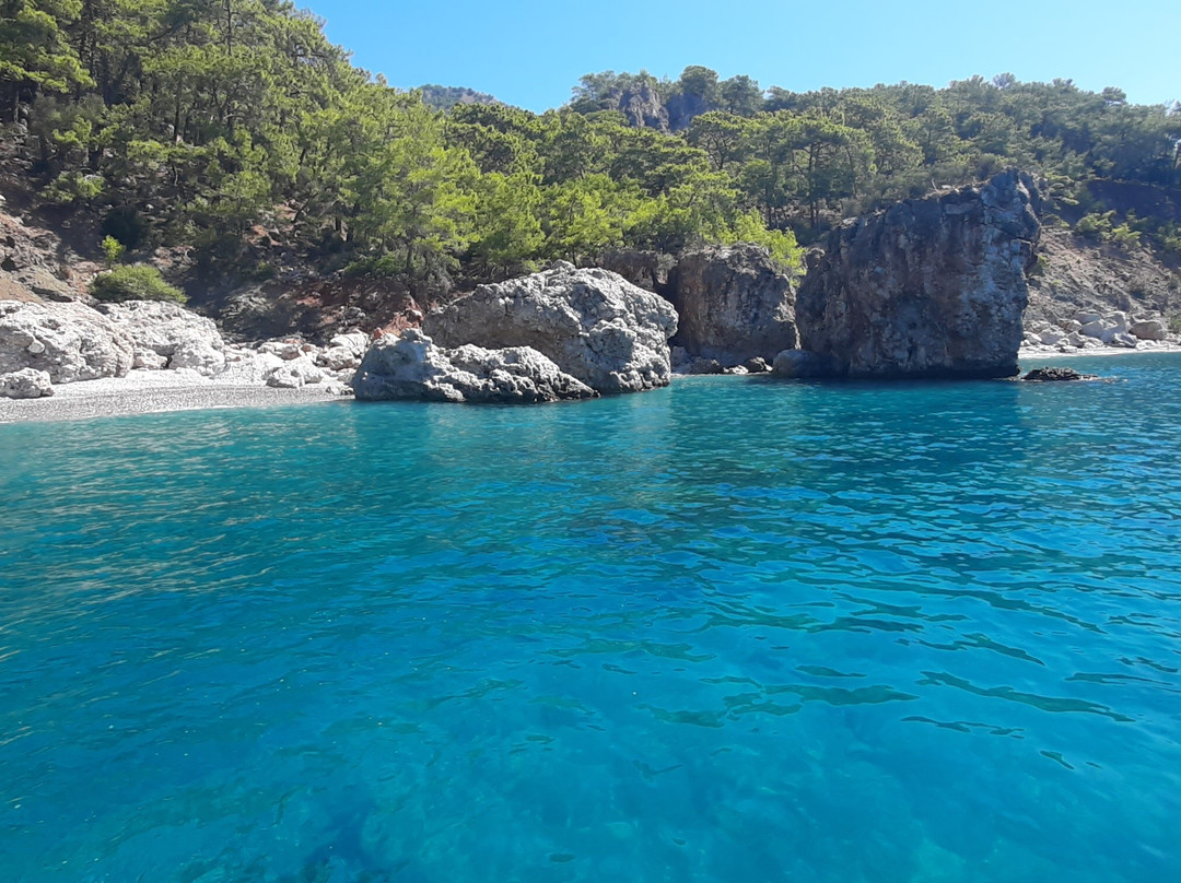 Dalyan Boat Tours - Ege Kaptan景点图片
