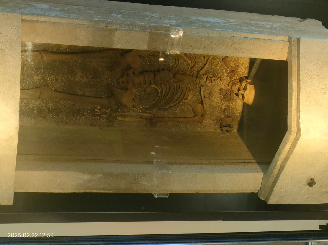 Museo Nazionale Archeologico-塔兰托必去景点