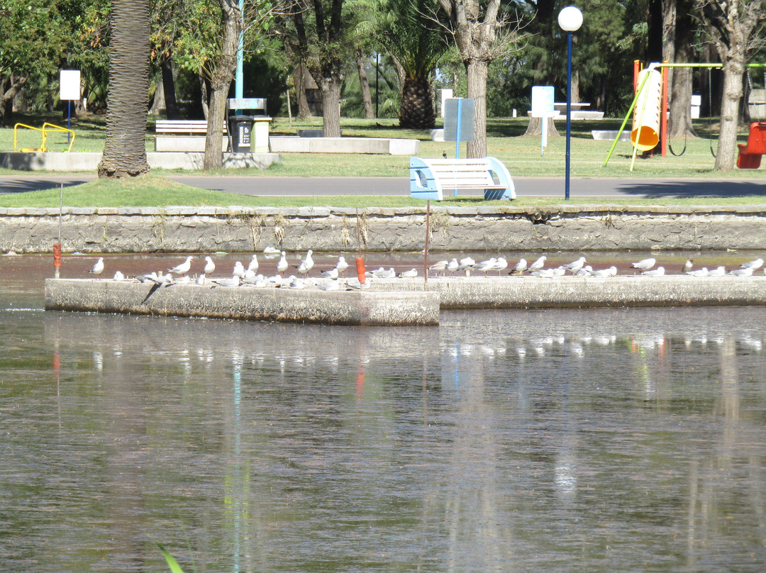 Parque Las Acollaradas景点图片