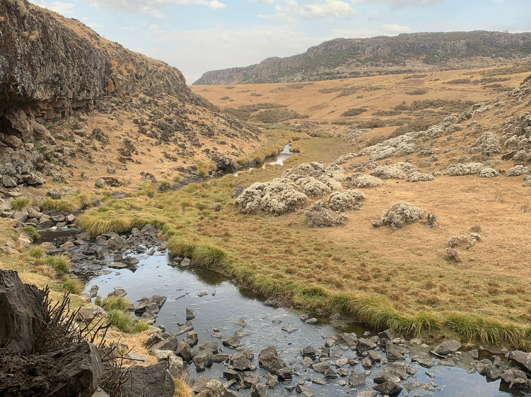 Bale Mountains Brilliant Tours景点图片