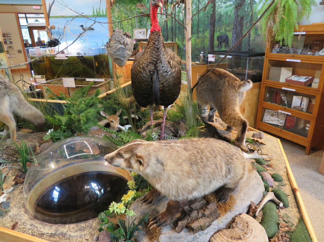 North Lakeland Discovery Center景点图片
