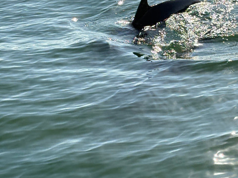 TB Tours-瓦拉塔港必去景点