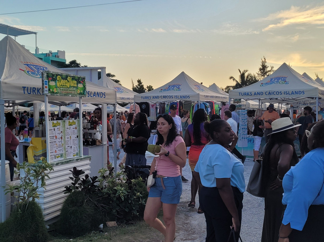 Island Fish Fry-普罗维登西亚莱斯必去景点