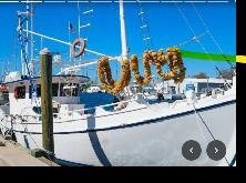 Tarpon Springs Sponge Docks-塔彭斯普林斯必去景点