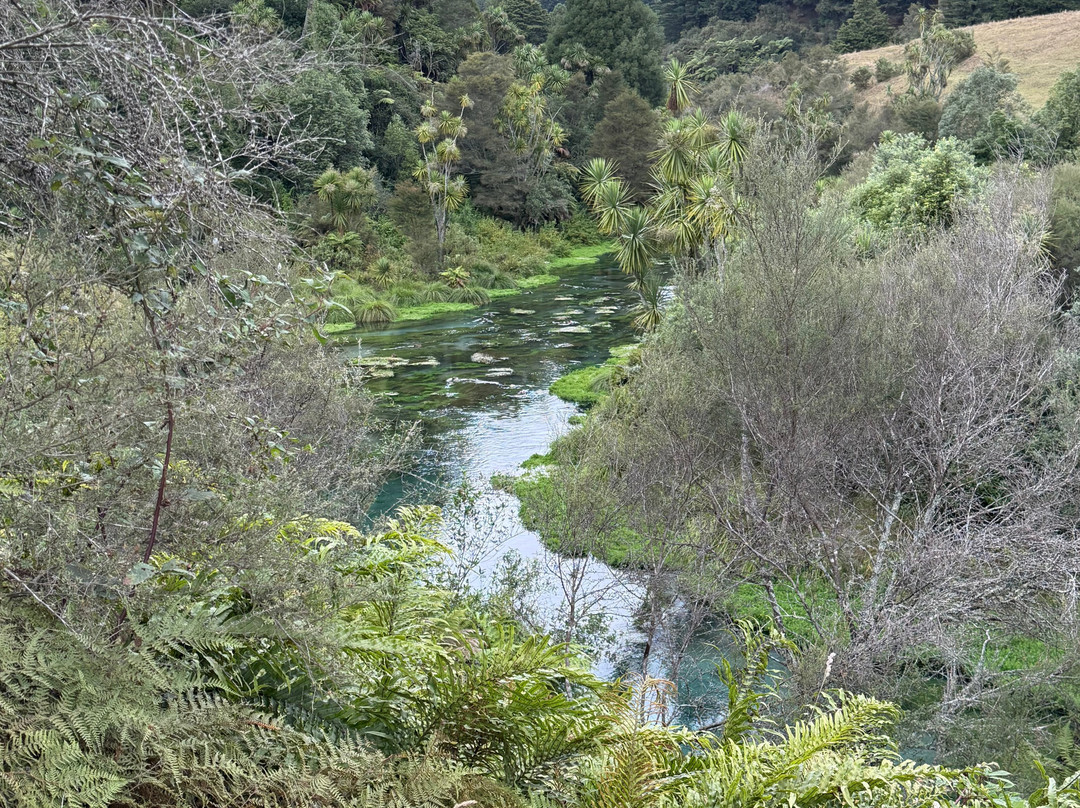 Blue Spring-普塔鲁鲁必去景点