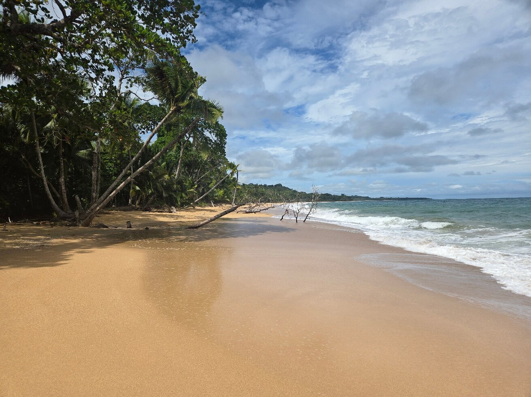Playa Bluff景点图片