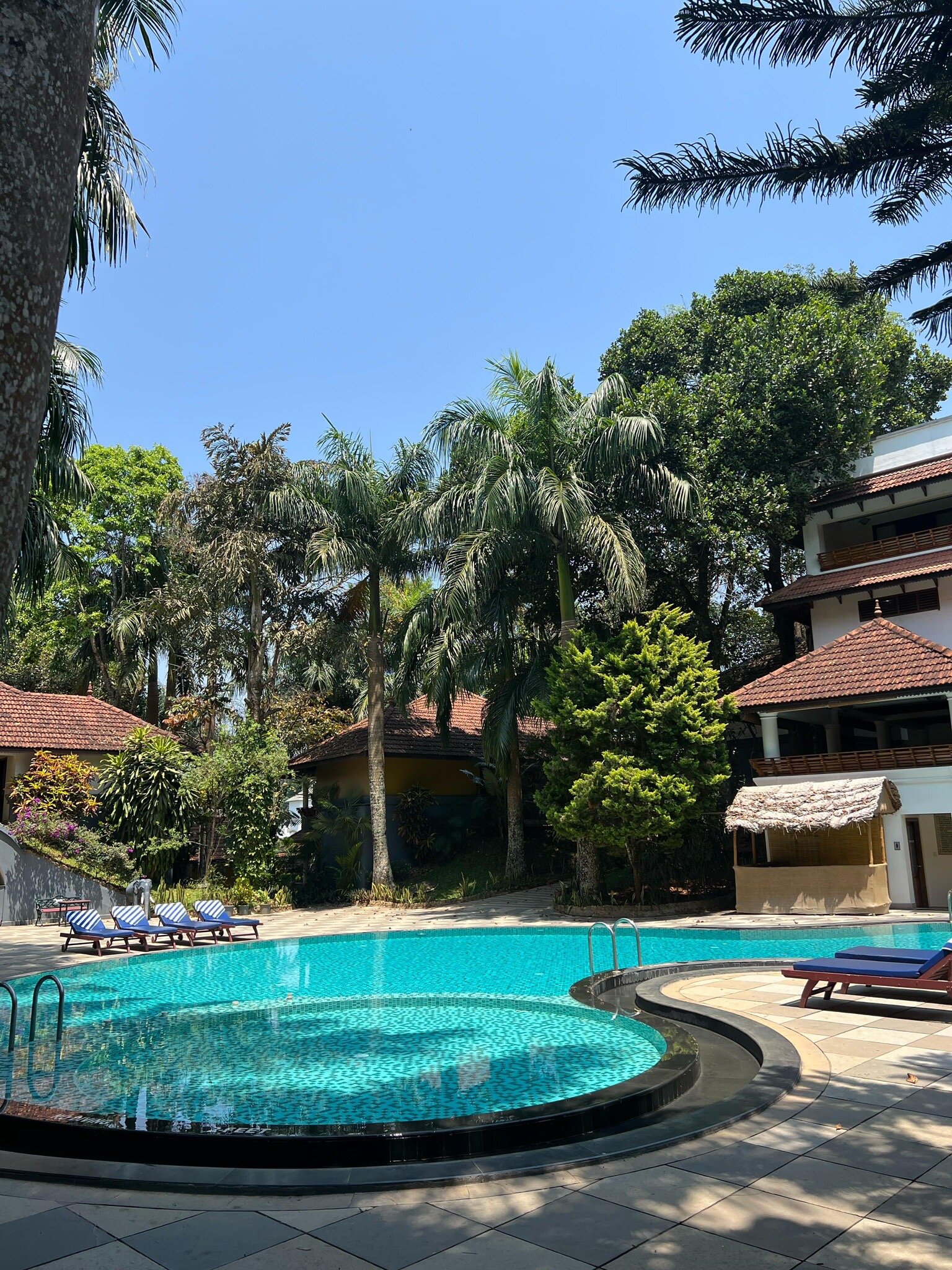 The Elephant Court-官方