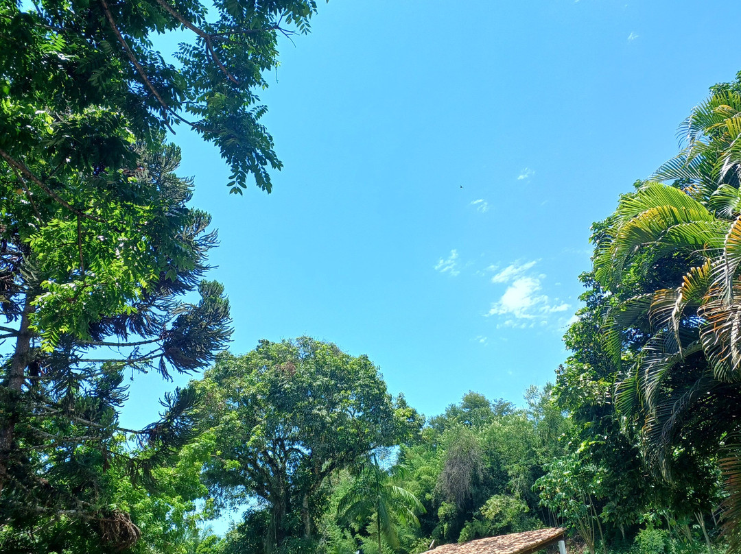 Fazenda dos Coqueiros景点图片