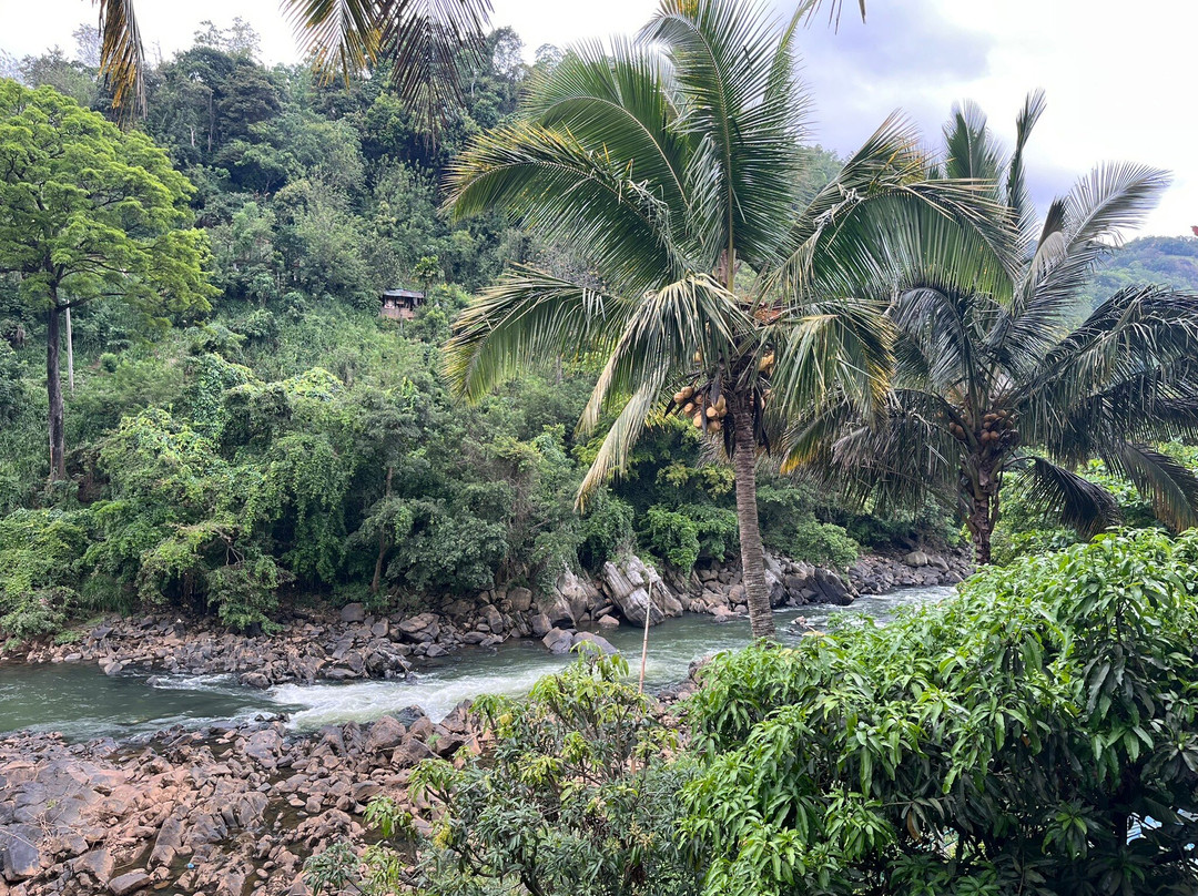 Ayaan Tours Sri Lanka-Katukurunda必去景点