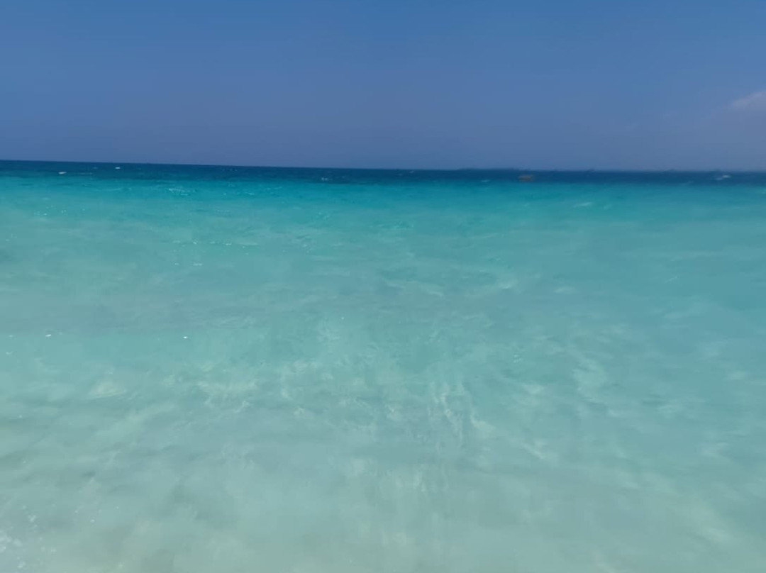 Kiwengwa zanzibar-基万嘎必去景点