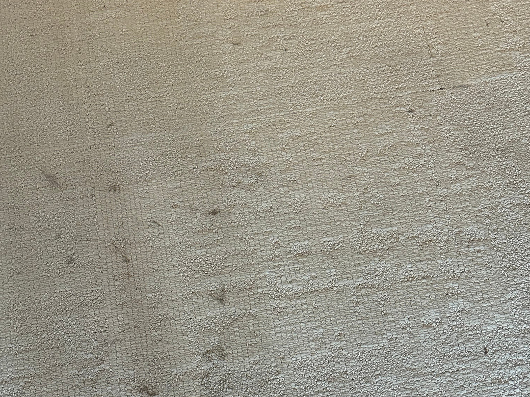 Hotel Moers Van Der Valk主图