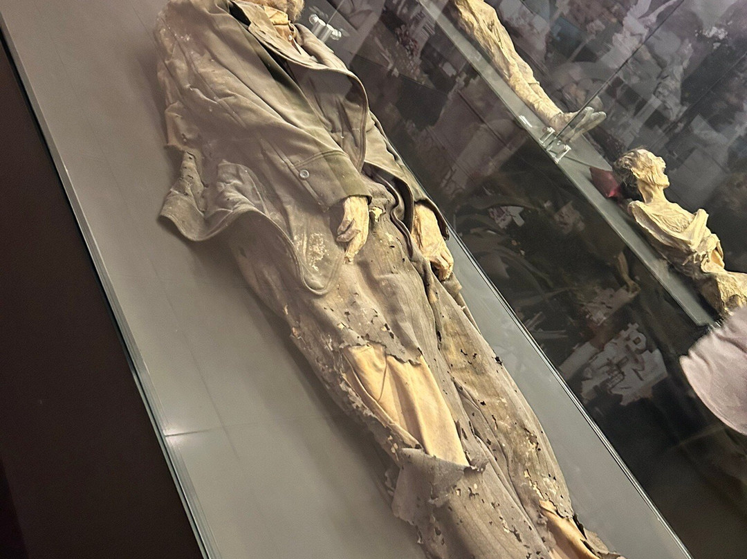 Museo de las Momias de Guanajuato景点图片