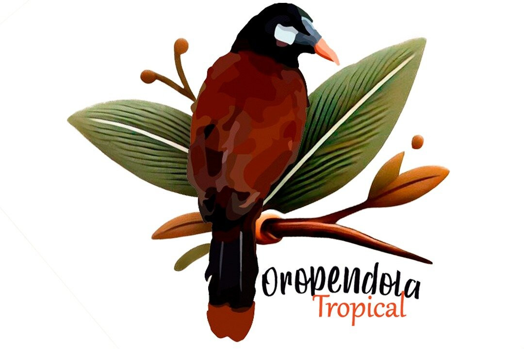 Orpendola Tropical