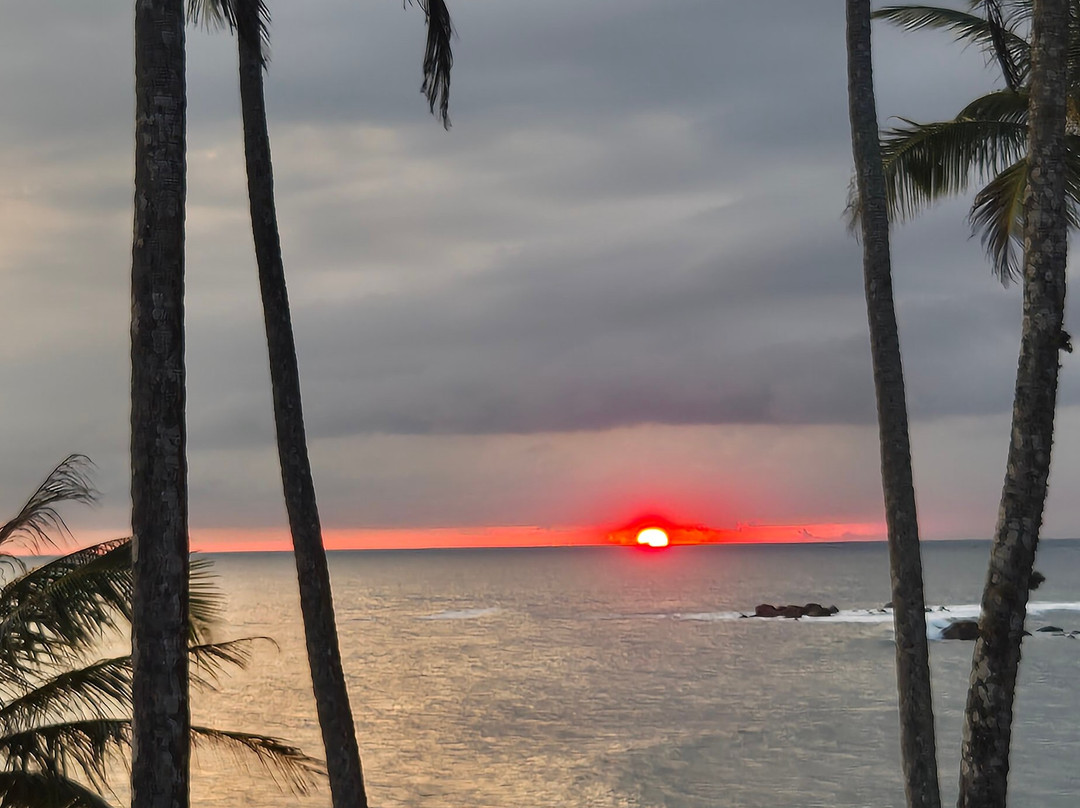 The Travel Lanka Leisure景点图片