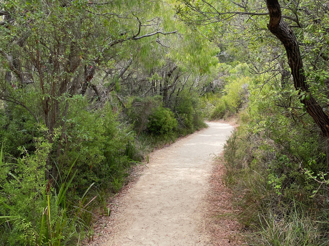 Misery Beach-奥尔巴尼必去景点