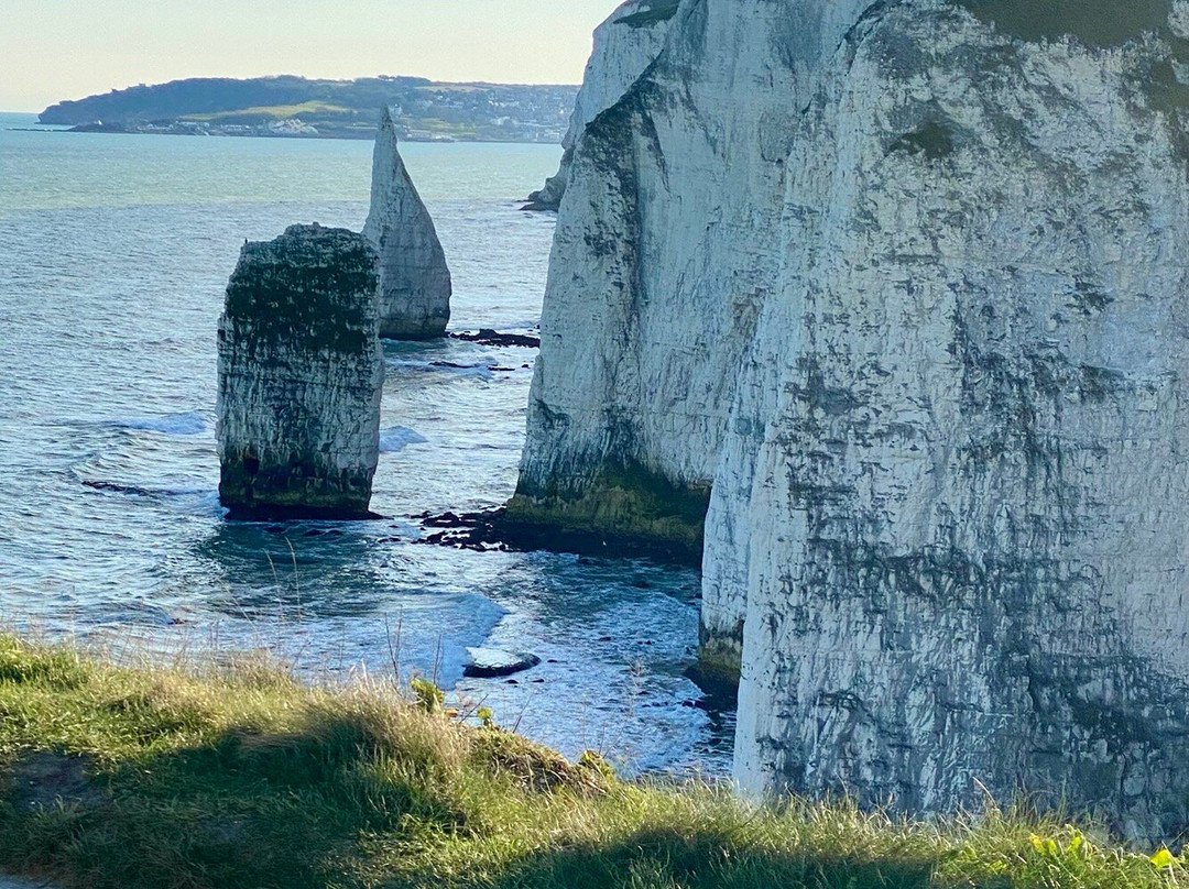 Old Harry Rocks景点图片