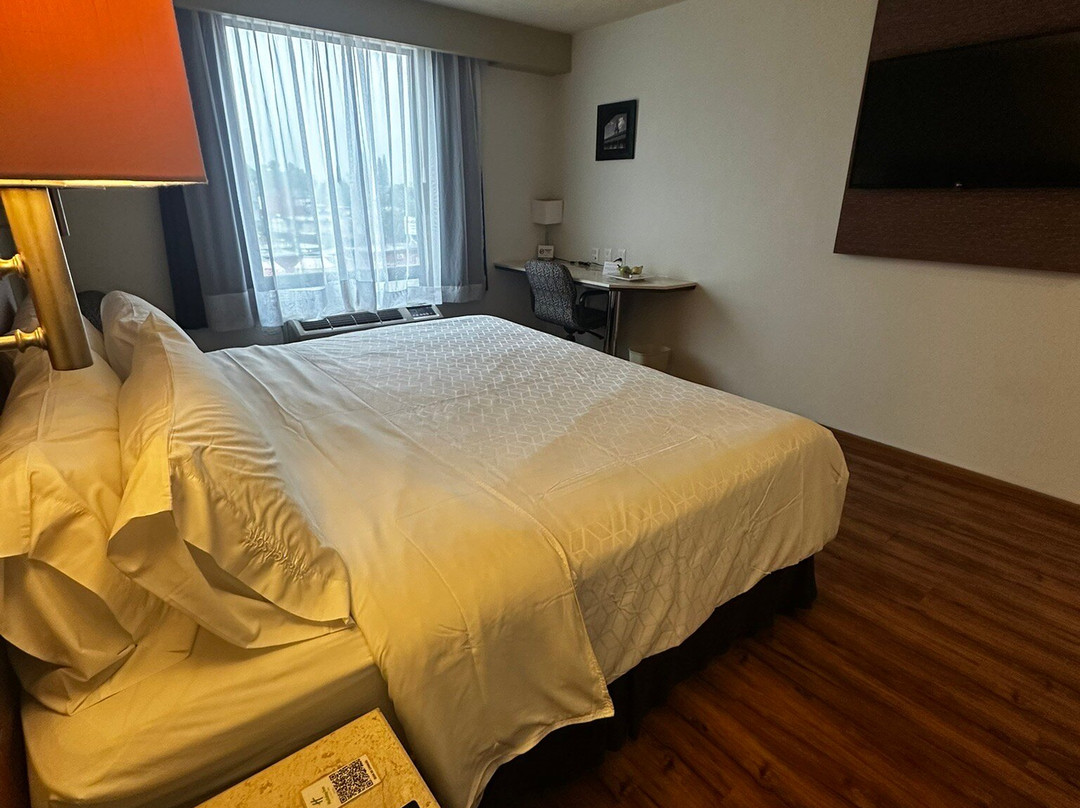 Holiday Inn Orizaba by IHG主图