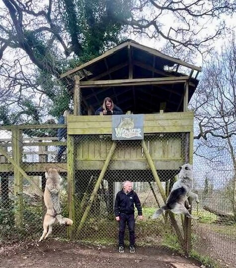 Wolves Of Wiltshire-埃文河畔布德拉夫必去景点