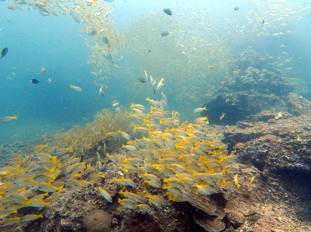 Sunrise Divers-卡伦必去景点
