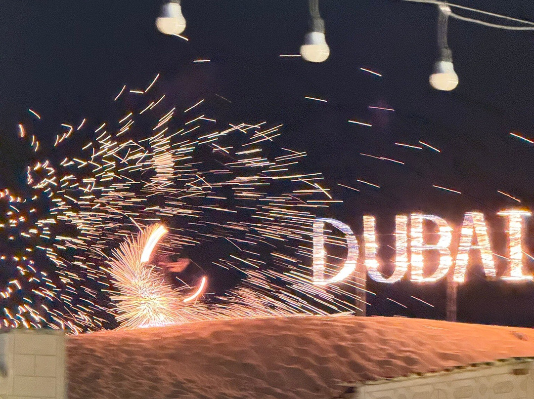 Royal Desert Tours-迪拜必去景点