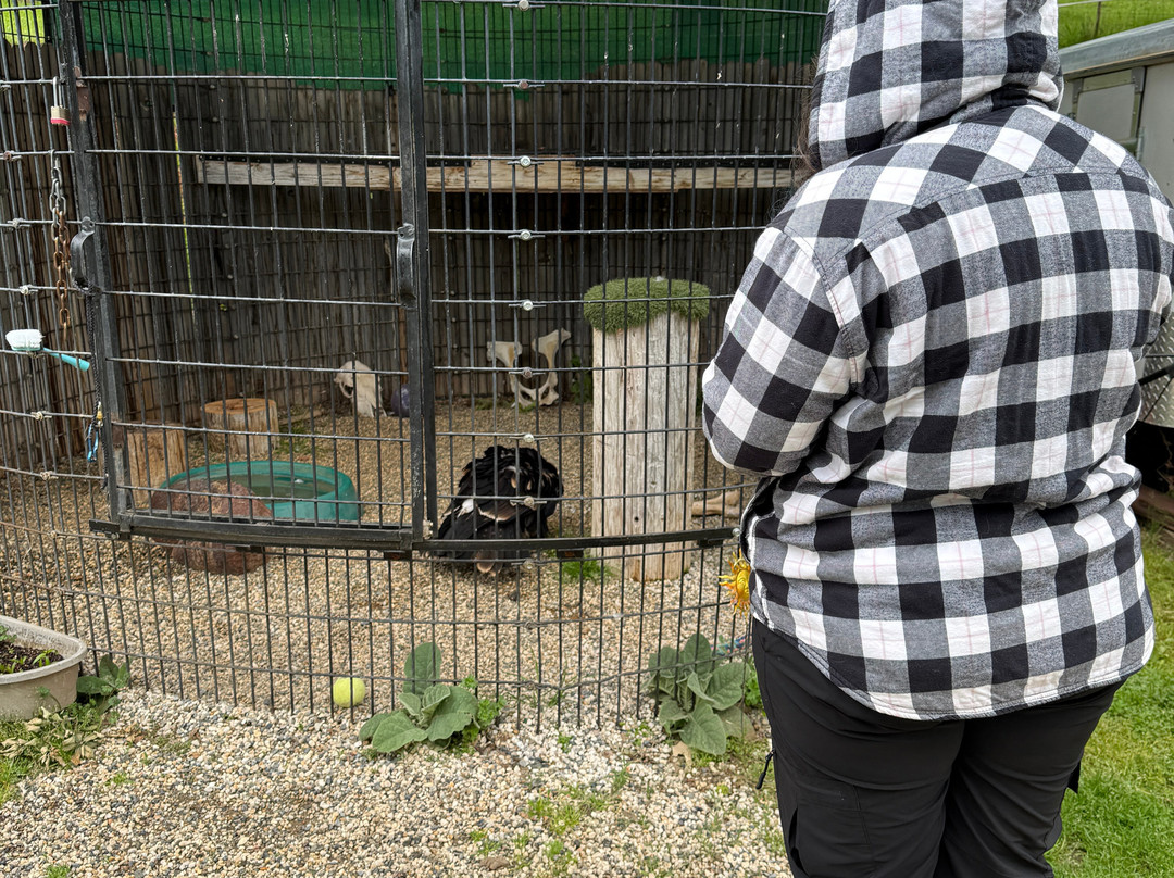 West Coast Falconry-Marysville必去景点