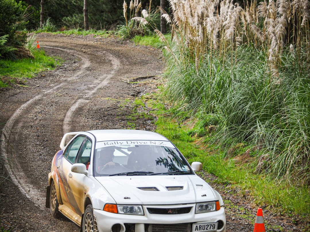 Rally Drive NZ-汉密尔顿必去景点
