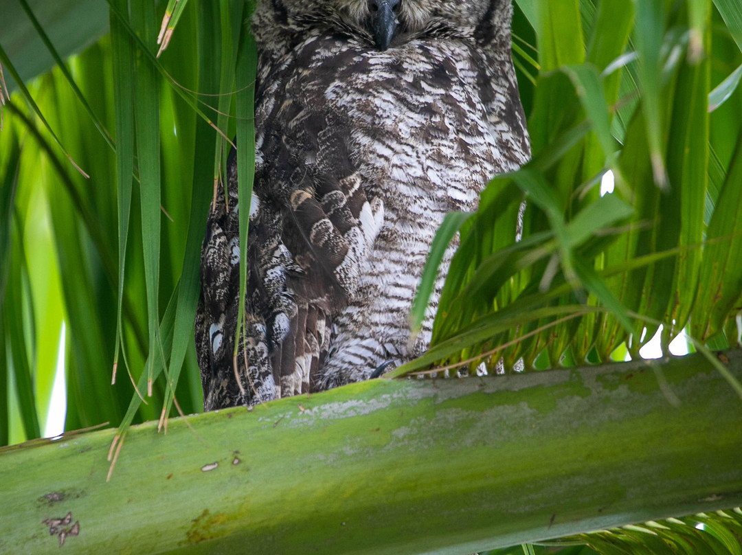 La Lechere Guest House主图