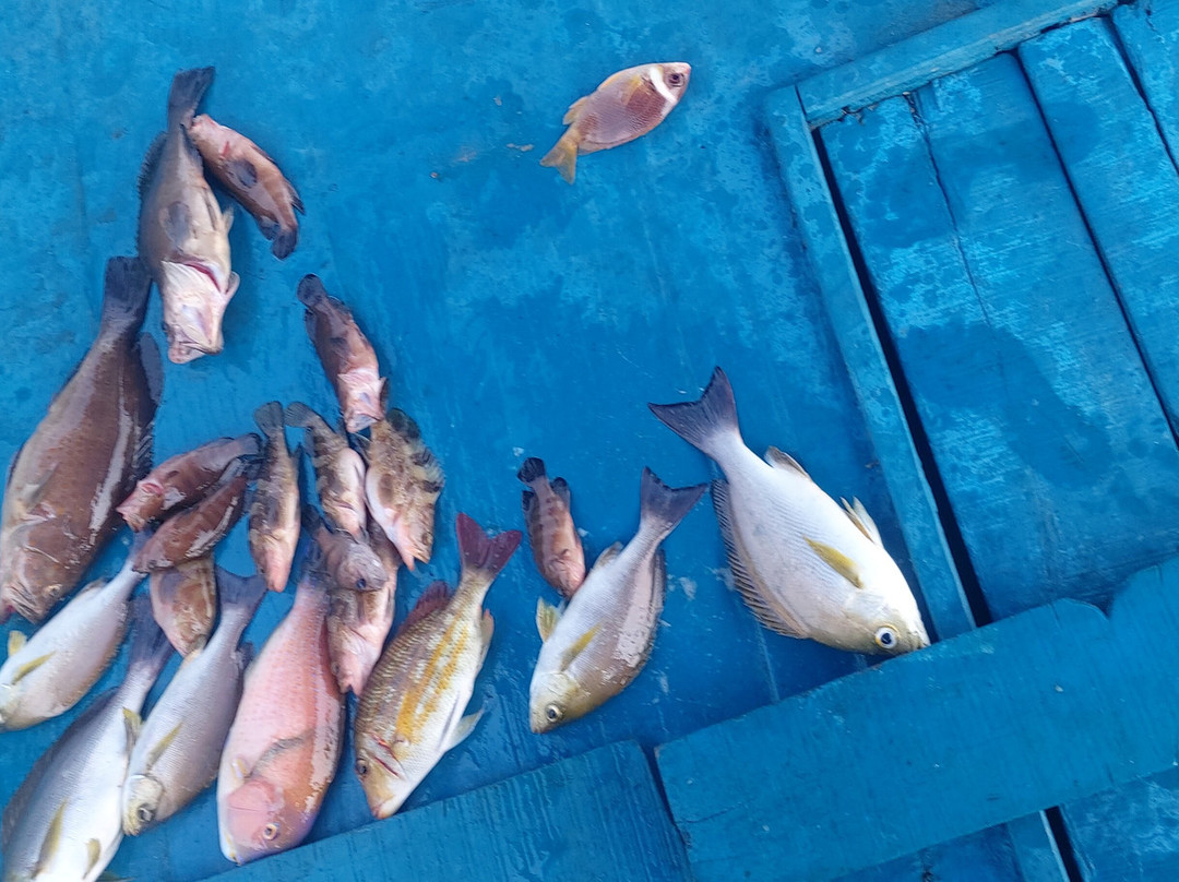 FishingFeel-岘港必去景点