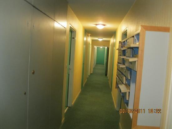 Residence Yser主图